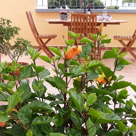Casa Unifamiliar Con Terraza En Arona Дом отдыха Арона
